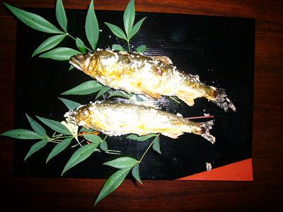 鮎（香魚・あゆ）